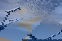 Eagle's Den Suites at Kenedy