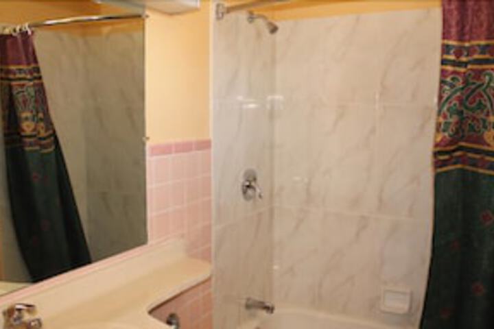 American Motor Inn - thumb 5