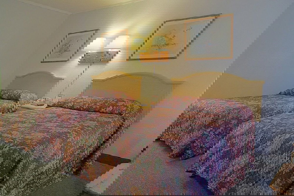 Eastern Shore Motel - thumb 5