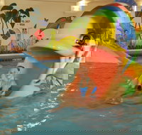 The Plaza Hotel  Suites Winona - Tourism Bookings