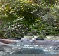 Jackson House BB - Tourism Bookings