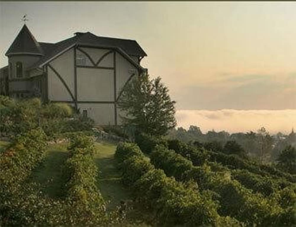 Hermann Hill - thumb 3