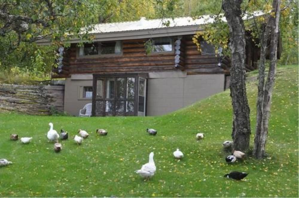 Daniels Lake Lodge B&B - thumb 5