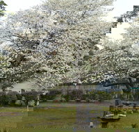 Edenfield House - USA Accommodation