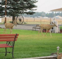 Rim Rock Motel - Tourism Bookings