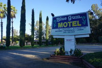 Blue Gum Motel