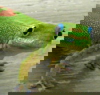 Keaau Place - Tourism Bookings