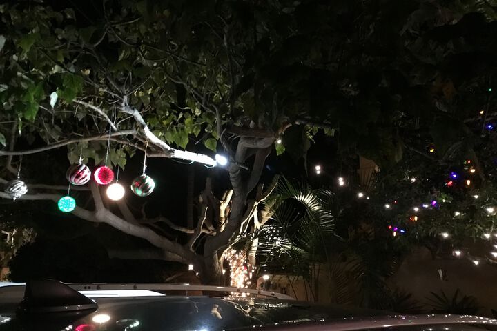 Les Artistes Inn - thumb 1