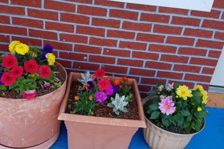 Travel Inn Orange - thumb 0