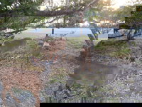 Ed  Ellen's Lodging Big Pine Key