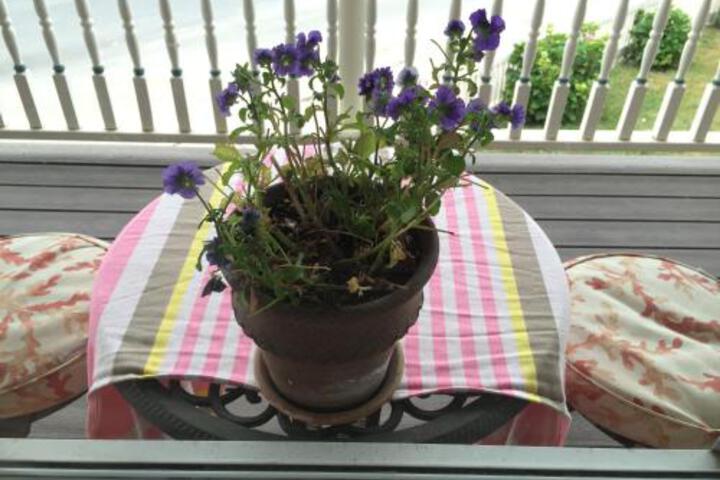 Harrington House Bed & Breakfast - thumb 3