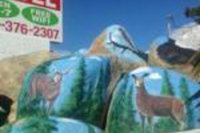 Book Cities Accommodation Vacations, USA Accommodation USA Accommodation