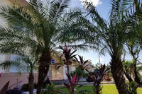 Parkway Inn Airport Motel Miami