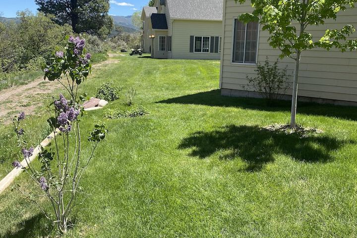 Comfort Inn & Suites - thumb 2