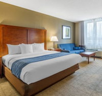 Comfort Inn Conference Center - Tourism Bookings