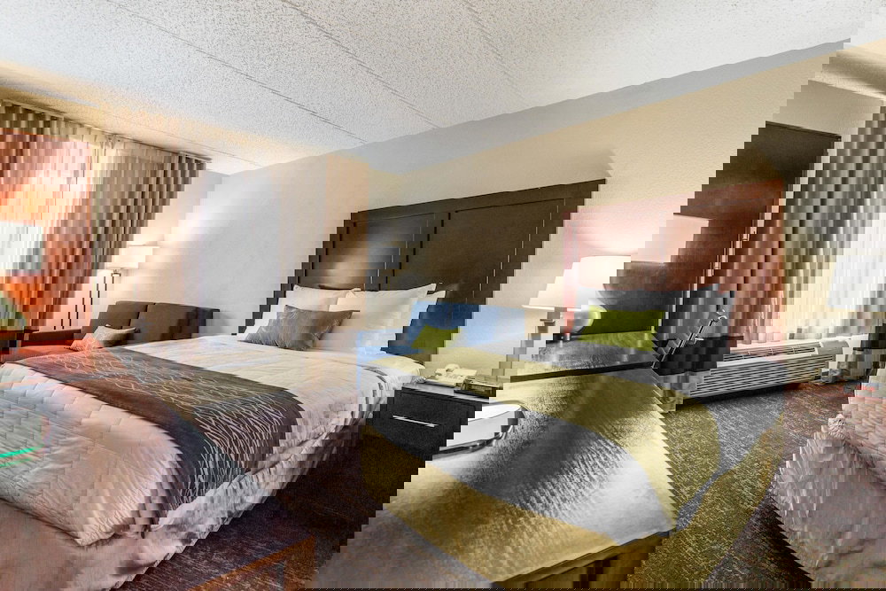 Comfort Inn College Park North - thumb 5