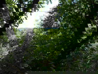 Book Cities Accommodation Vacations, USA Accommodation USA Accommodation