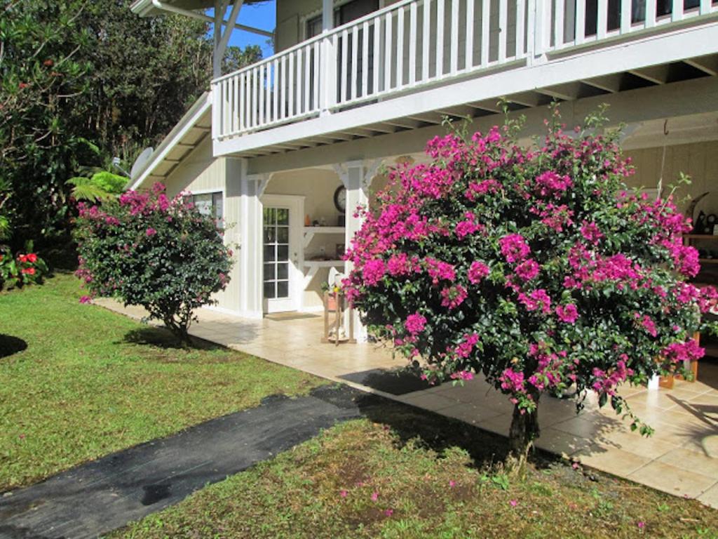 Mountain Breeze - thumb 2