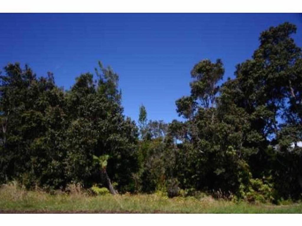 Mountain Breeze - thumb 4