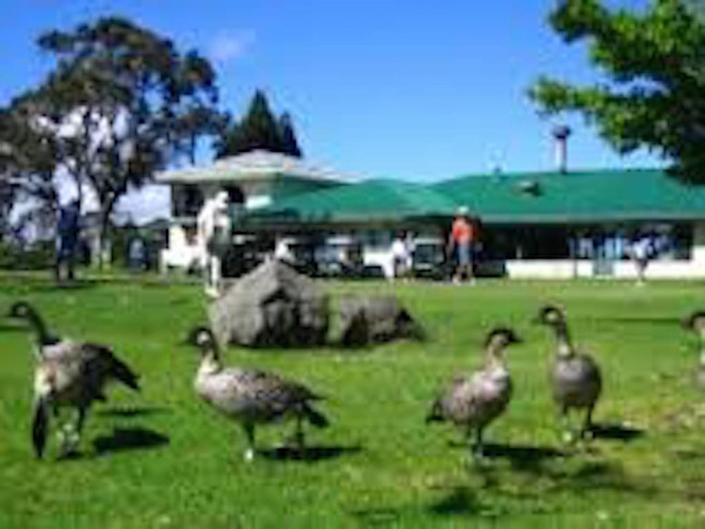 Mountain Breeze - thumb 7