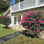 Mountain Breeze - thumb 1