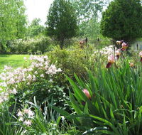 Sleepy Hollow Motel - Tourism Bookings