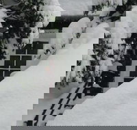 Tahoma Meadows Cottages - Tourism Bookings