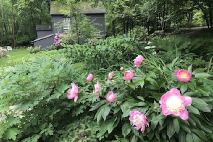 CS Coach House - thumb 0