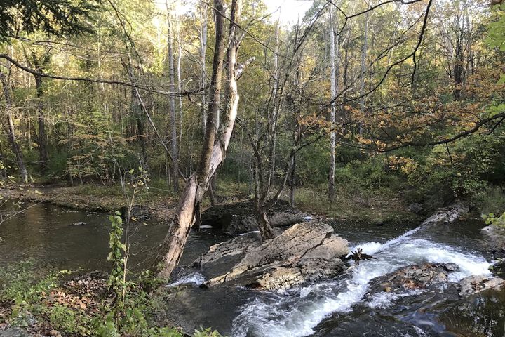 CS Coach House - thumb 4