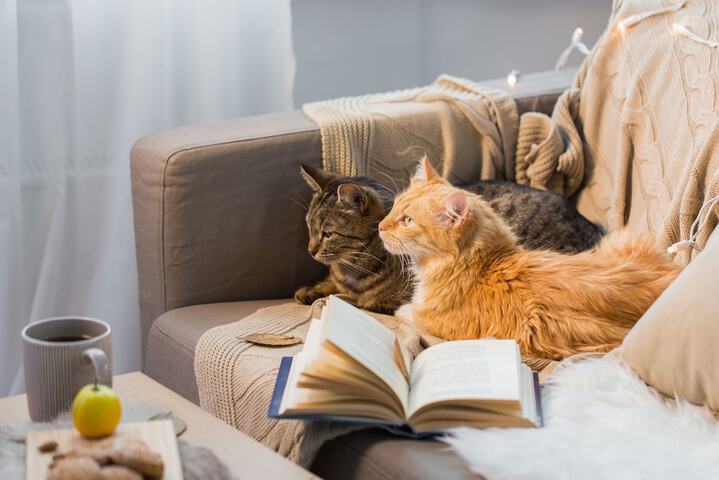 Candlewycke Inn - thumb 4