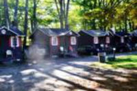 Maple Lodge Cabins