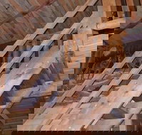 Papoose - Tourism Bookings