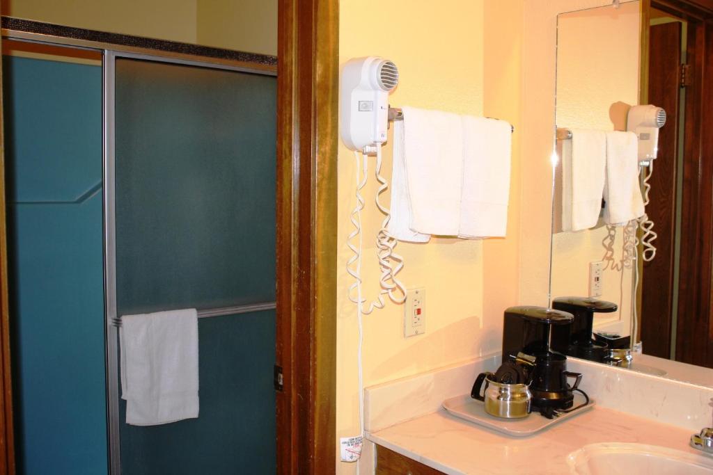 Lake Palestine Motor Inn - thumb 4