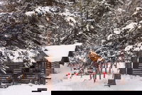 Pioneer Guest Cabins