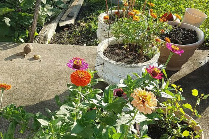 Burr Oak Motel - thumb 2