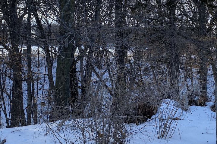 Burr Oak Motel - thumb 3