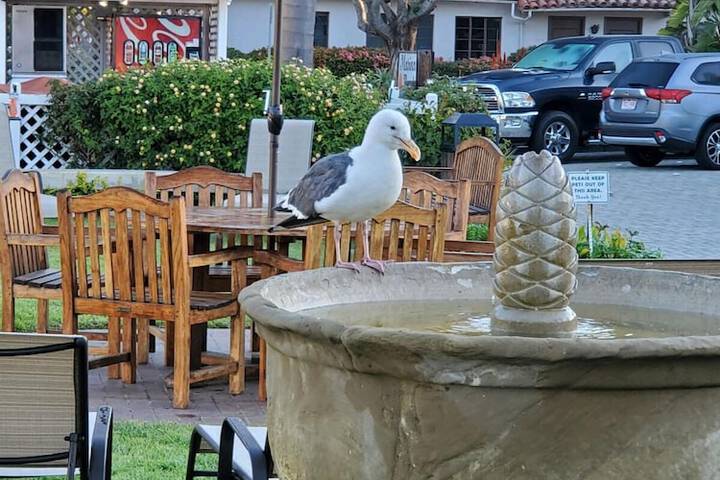 Marina Beach Motel - thumb 4