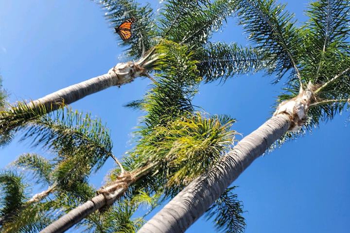 Marina Beach Motel - thumb 3