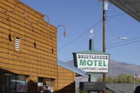 Bristlecone Motel