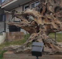 Bristlecone Motel - Tourism Bookings