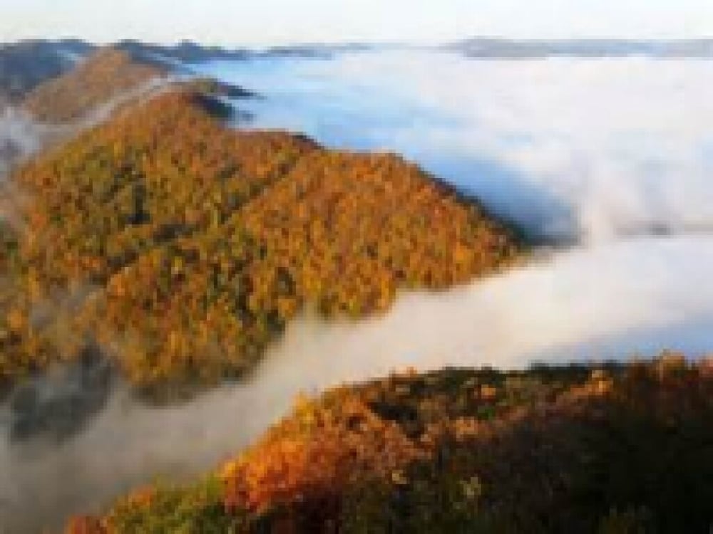 The Olde Mill Inn Bed & Breakfast - thumb 5