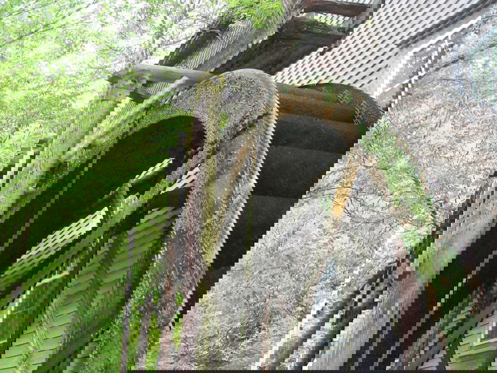 The Olde Mill Inn Bed & Breakfast - thumb 0