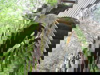 Cumberland Gap Tn Tourism Bookings