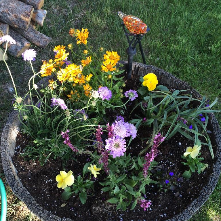 Pine Creek Cabin Livingston Montana - thumb 4