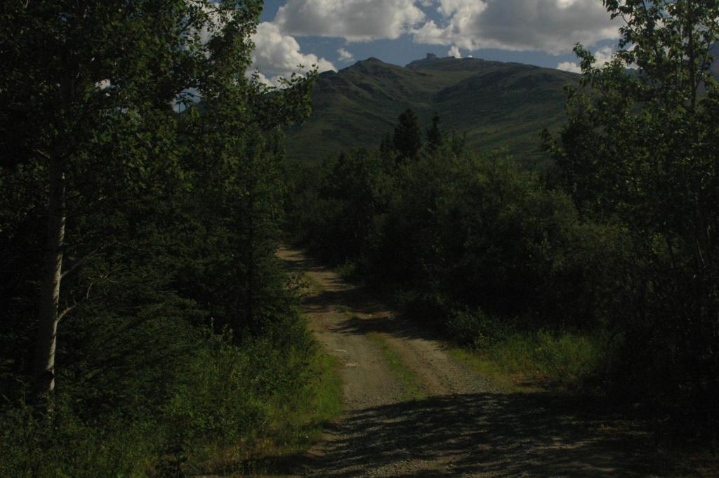 Denali Nightly House Rentals - thumb 5