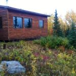 Denali Nightly House Rentals - thumb 1