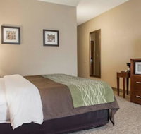 Comfort Inn Edinburg South - USA Accommodation