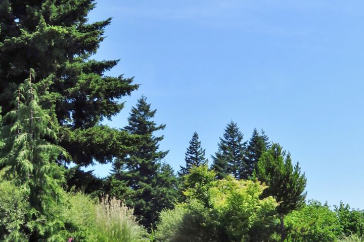 Carson Hot Springs Resort - thumb 3