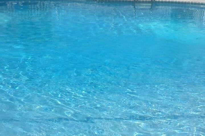 Chateau Bleu Resort Motel - thumb 3