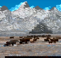 Cody House by JHRL - Tourism Bookings